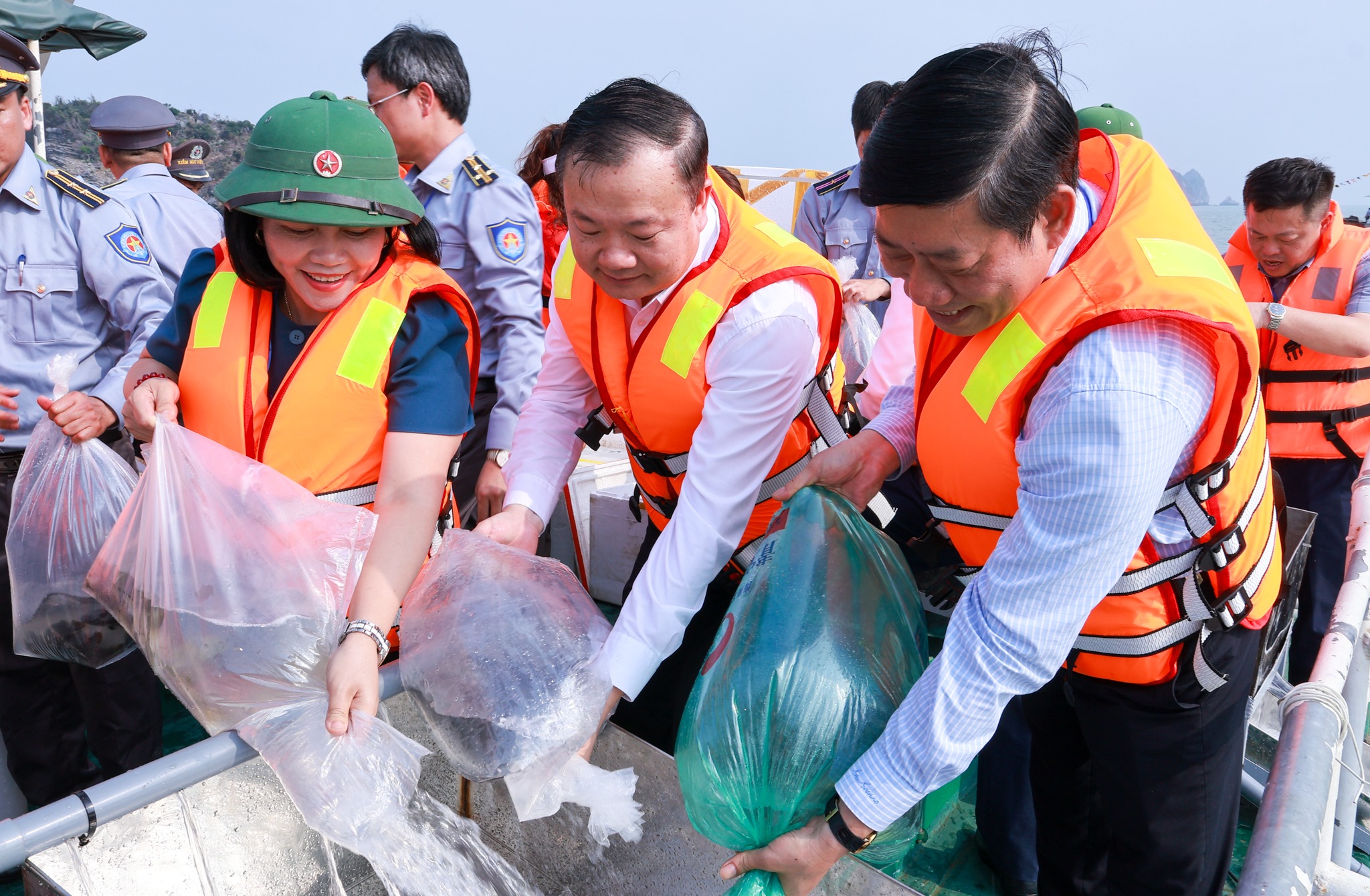 Thả 1,3 triệu con giống thủy sản tái tạo nguồn lợi thủy sản xuống vùng biển Cát Bà năm 2026