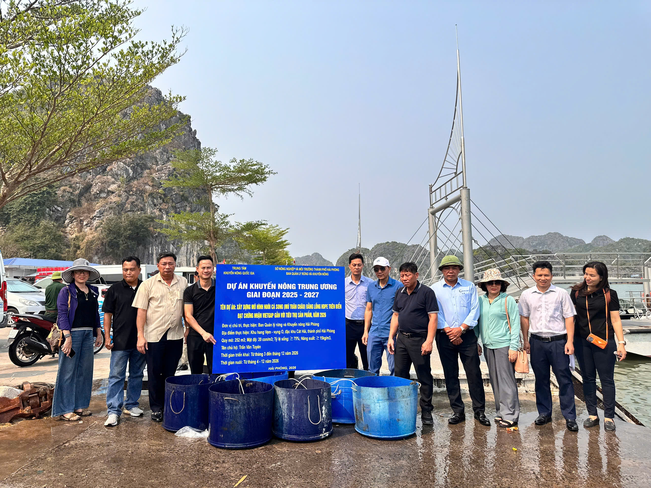 Triển khai mô hình nuôi cá song ( Cá mú Trân Châu) bằng lồng HDPE trên biển đạt chứng nhận VietGap trên biển Cát Bà