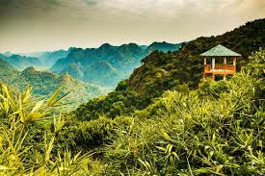 Tham quan Vườn Quốc Gia Cát Bà 1/2 ngày